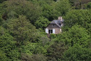 Traitement punaises de lit Sainte-Suzanne